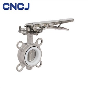 [Hot Item] Stainless Steel PTFE Hand Lever Butterfly Valve API 6D Ball Valve