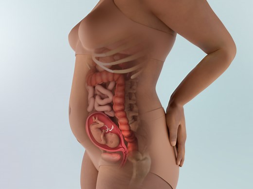 18 Weeks Pregnant: Symptoms, Belly & More