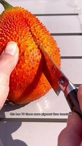 This Has 70 Times More Lycopene Than Tomatoes 🩸 It’s called ‘GAC’ fruit (also known as Momordica Cochinchinensis’ and it’s a tropical fruit primarily found in Southeast Asia, particularly in Vietnam. GAC fruit is also known by other names such as spiny bitter gourd, sweet gourd, and baby jackfruit. One of the most unique aspects of the GAC fruit is its vibrant red color. The fruit is not only beautiful to look at but also packed with nutrients, particularly carotenoids. In fact, the GAC fruit h