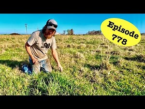 State of the Pasture, Hay Supply, and Corral Work