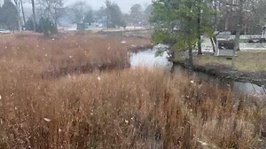 1.9K views · 18 reactions | Coastal Point newspaper on Reels | Facebook