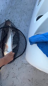 Monster Redfish caught in the Grass flats 🐟 🐠 🎣 | Jared Fishing & Hunting Texas , Alaska & Mexico Adventures