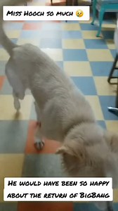 52 reactions | I've been watching #SquidGame2 & happen to be an OG...