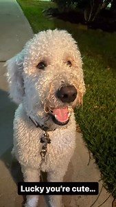 Texas Edge Home Inspections, PLLC on Reels | Facebook