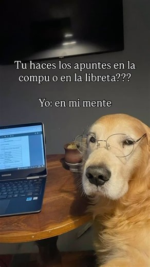 Ana Cam on Instagram: "Ni que agregar 😣😣 #universidad #mty #tec #foraneo #vlog"