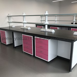 [Hot Item] Lab Reagent Shelves Movable Cabinets Steel Working Table Bench