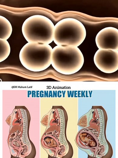 36 weeks #Tiktok #goforyou #Fyp #viral #Foryou @• Dr Mehwish • @Dr AQSA Khan 🩺
