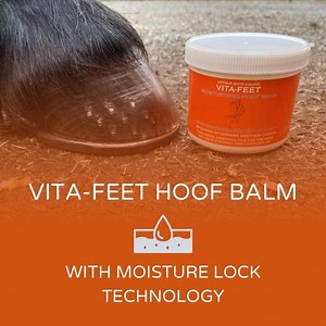 VITA-FEET Moisturising Hoof Balm - Etsy Canada