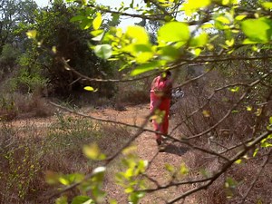 2.4M views · 67K reactions | | Crime Justice | Newpost Newepisode Latestepisode Bestepisode Crime Petrol | Crime Justice | Facebook