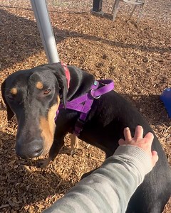 Milo Foundation on Reels