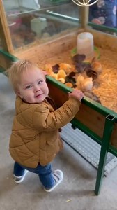Play dates at the farm 🥰 | Streamvale Farm
