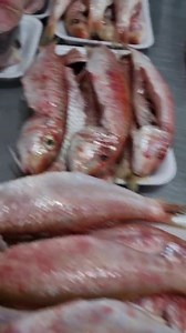 2.1K views · 134 reactions | Bom dia! Sexta feira 6 de maio de 2022...