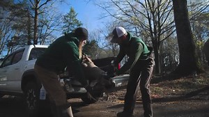 NC Wildlife Resources Commission on Reels