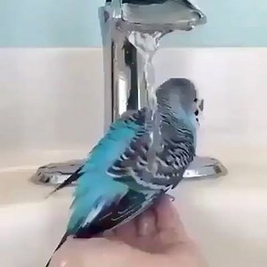 #alhamdulillah | Maher Zain