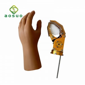 [Hot Item] Prosthesis Hand Prosthetic Arm Cable Controlled Mechanical Hand for Arm