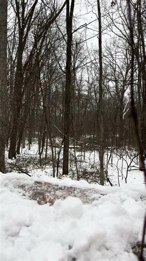 Amish army out deer hunting in Ohio! Public land hunters stay safe! #whitetail #huntohio #bigbucks