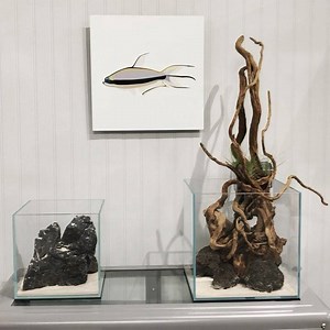 Ultum Nature Systems 25C and 20C nano scapes-to-go here inside TheAquariumDesignStore. Join us, now also on Sundays from 11a-5p. Tuesday-Saturday 10a-6p. | Aquarium Design Group
