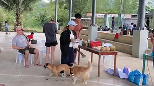 Cebu Go Go Adventure on Reels