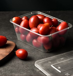 [Hot Item] Rectangle Clear 500ml 650ml 750ml 1000ml 1100ml Disposable Plastic Food Container