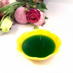 [Hot Item] X-Humate Organic Seaweed Liquid Fertilizer