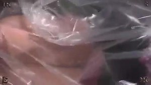 INSEX - Bagged 1217