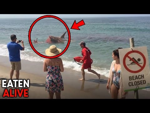 The Most TERRIFYING Animal Attacks Ever In History!