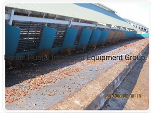 [Hot Item] Palm Oil Mill, Plam Kernel Oil Extraction Machine
