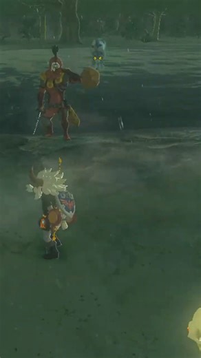 The Helpful Octorok! #thelegendofzeldabreathofthewild