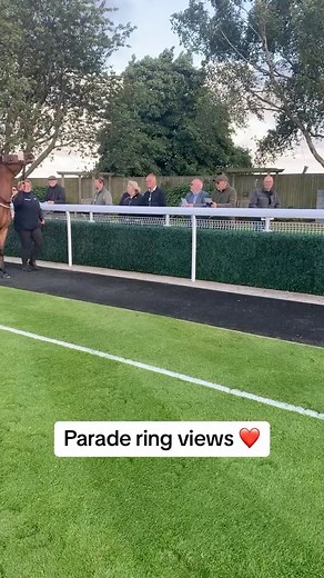 The place to be on a nice evening like this 🤩 #Horse #Horses #HorseRacing #Beverley #BeverleyRaces | Beverley Racecourse
