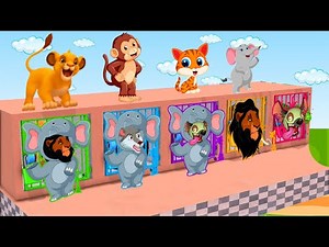 حدوتة الأسد ملك الغابة و سرقة منزل أبو سيمبا|حواديت قبل النوم|قصص أطفال بالعامية|حواديت ماما غادة