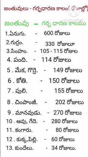 జంతువులు - గర్భ ధారణ కాలము//# gk//# important in all competitive exams//