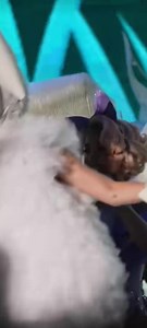 Barbie Jolin Tsai蔡依林 [Ugly Beauty 2023 世界巡迴演唱會] at Singapore 🇸🇬 #JolinTsai #蔡依林 #蔡依林2023夏日首唱會 | Brian Lee