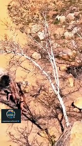 129K views · 1.8K reactions | Nombre: Deep Creek Hot Springs Dirección / acceso: Bowen Ranch Rd, Apple Valley, CA 92308, Estados Unidos. #california #hiddengems #viajandoporcalifornia1 #travel #losangeles #adventure #hiking #hotsprings #deepcreek | Remy Martyn | Facebook