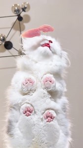 2.5K views · 79 reactions | cute paws ♥️ | Ｇａｌｌｅｒｙ | Facebook