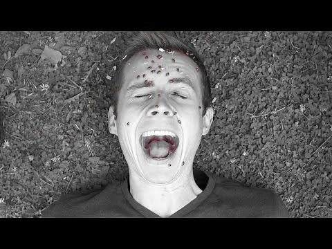 I just ordered 1,500 live ladybugs from Amazon and this happened