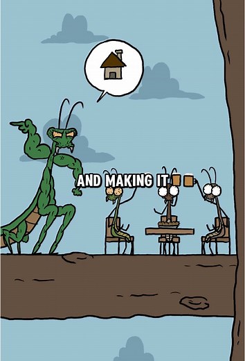 Praying Mantis Mating Behavior Explained