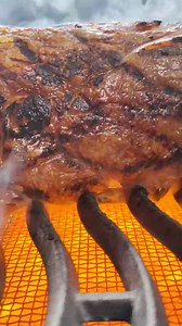 Heute gibt es wet-aged Ribeye von der Färse 😍🥩 Wir nutzen hier unser Funkthermometer um die perfekte Kerntemperatur zu messen. Zudem kann man sich einen Alarm bei erreichter Temperatur einstellen, somit muss man nicht als beim Grill stehen 😎 Schaut morgen mal in den Newsletter 🤫 👉 https://bit.ly/Funk-Thermometer #grillfürst #grillen #garen #braten #bbq #steak #ribeye #beef #steakporn #steaklover | Grillfürst