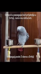 47K views · 1.5K reactions | 藍 | KULE | Facebook