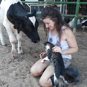 15K views · 498 reactions | Freedom Farm Sanctuary on Reels | Facebook