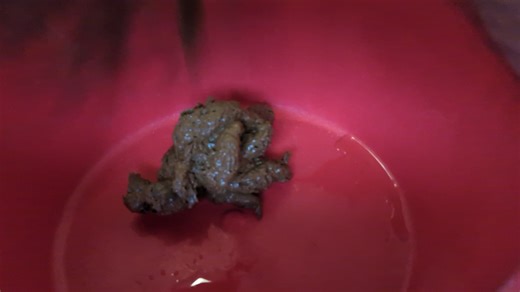 Bowl/Potty Poop