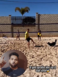 Dog Playing Basketball😍 #straydogs #explore #explorepage #doglover #motivation #quotes #lovedogs #humanity #basketball #football #ronaldo #fbreels #viralreels | The Helping Hands