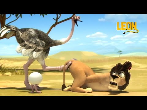 Poached Egg | Leon the Lion | 60' Compilation | Crazy animals