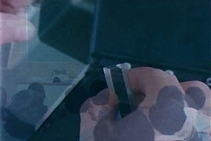 「Inside Fertility Laboratory Mexico City 1970s」の動画素材（ロイヤリティフリー）19500760 | Shutterstock