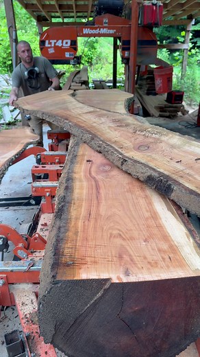 Cherry lumber from log to board — Wood-Mizer bimetal blade sawmill