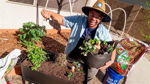 6 tips for container gardening 🪴 #problemsolved | USA TODAY Video