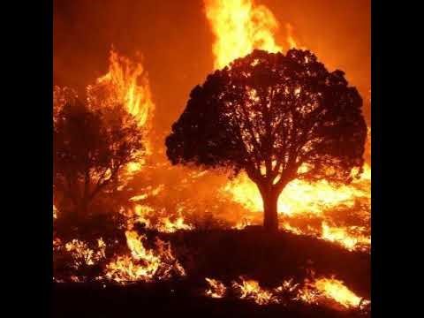 burner Live Stream