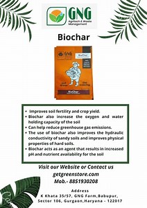 Biochar   Carbon Based Soil Amendment