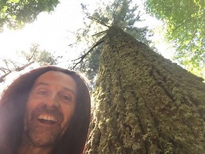 ❤CONTATTOtour❤ 18-06-18 PINO DI LAMBERT - Reggello (FI) Arboreti di Vallombrosa. Terzo step! | Michele Giovagnoli