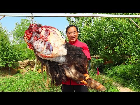 WHOLE YAK LEG Grilled For A Day. Chewy Outside But Tender Inside! | Uncle Rural Gourmet