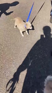 Frosted Faces Foundation on Reels